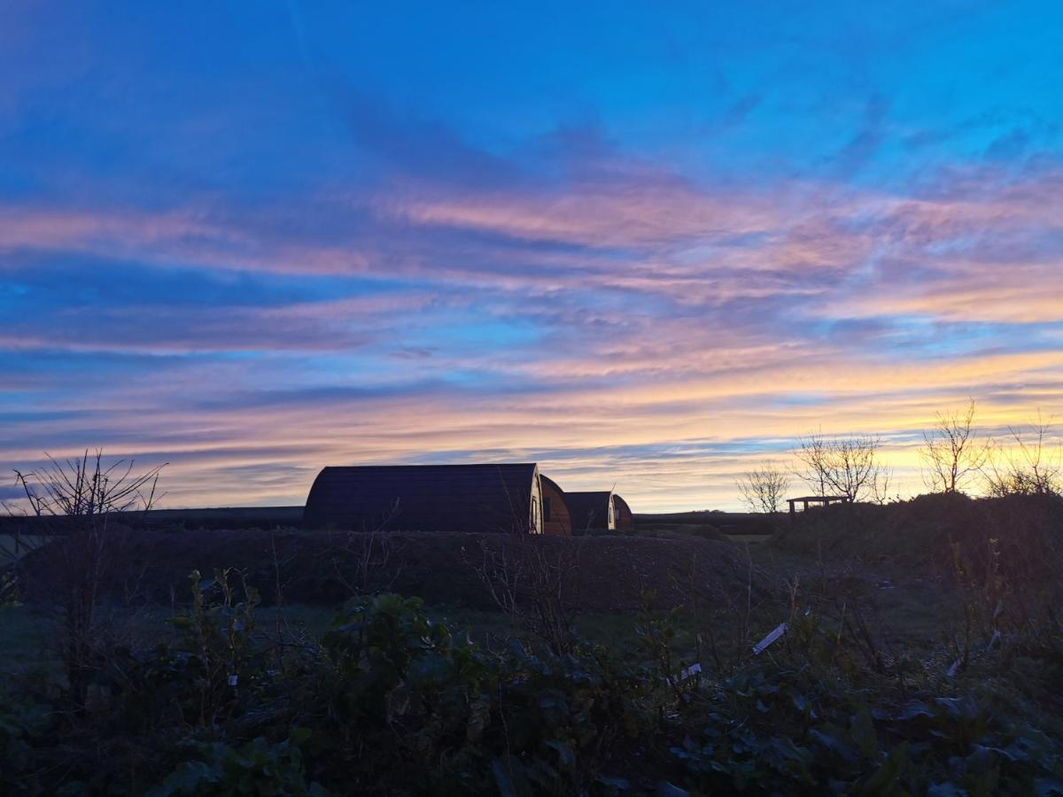Glamping Pods Nr Port Isaac Exterior foto